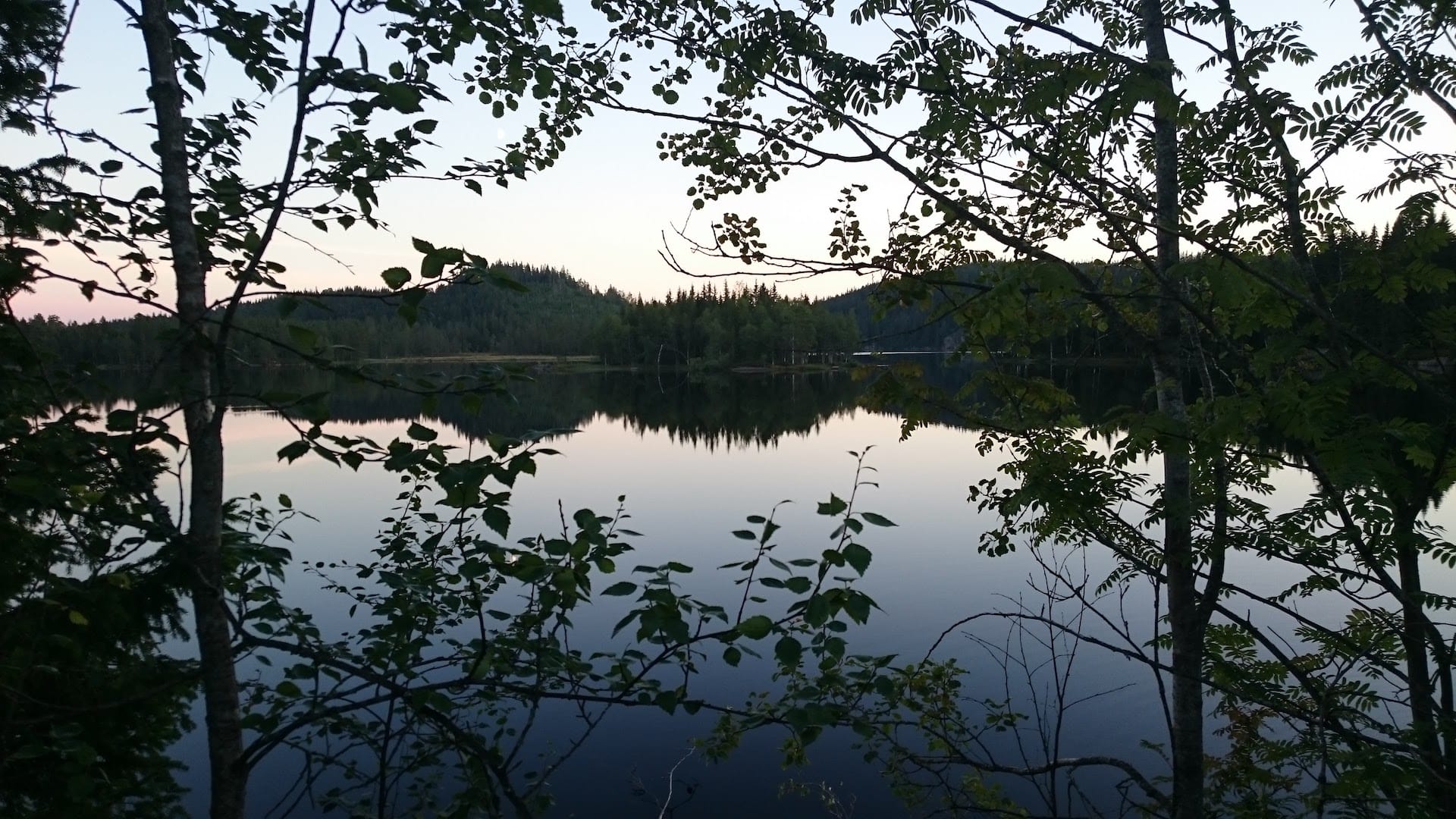 Kveldsstemning ved Damsortungen