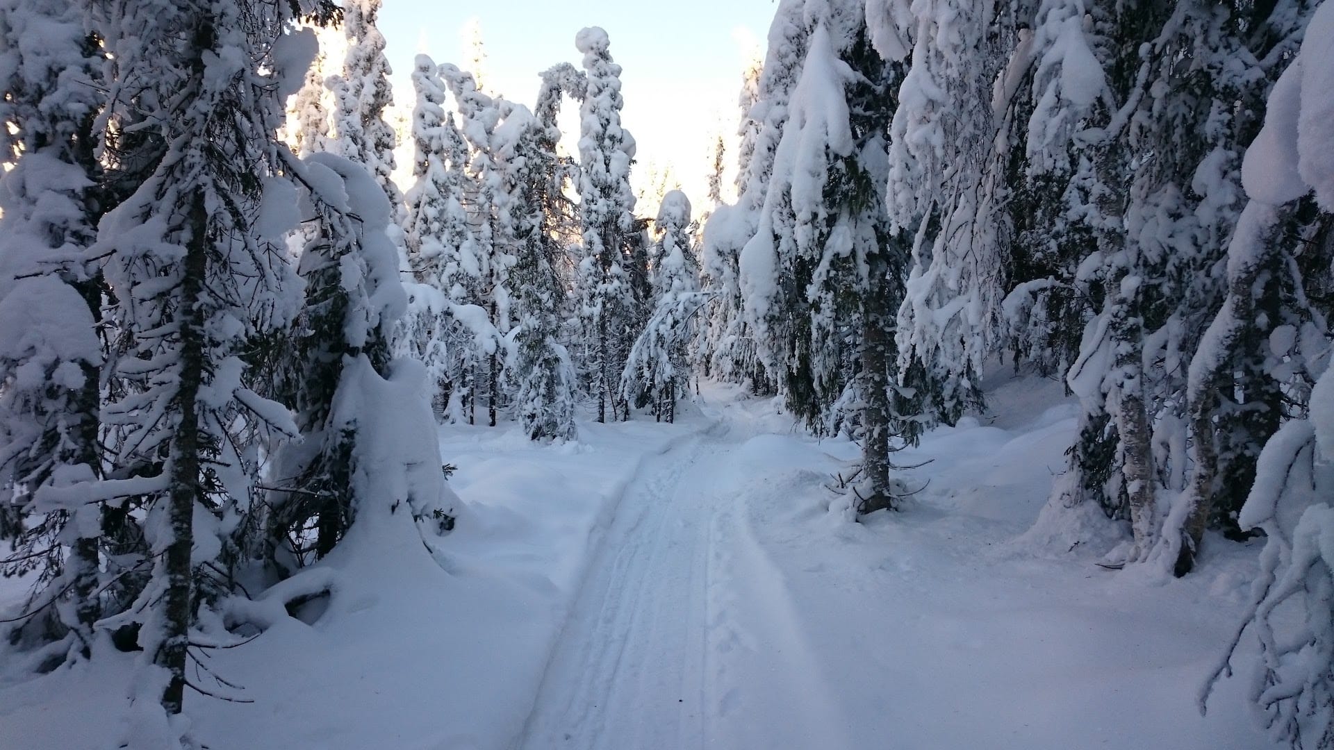 Skuterløype fra Råbjørn